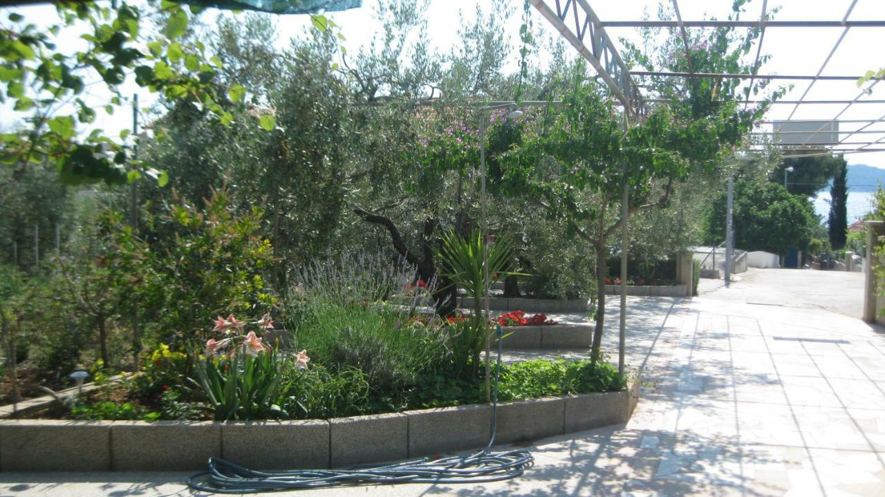 Apartments Maslina Trogir Exterior photo